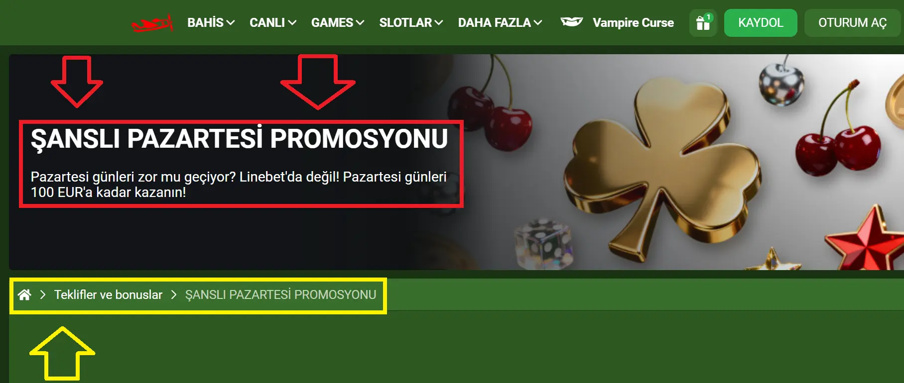 Şanslı Pazartesi Promosyonu Şanslı Pazartesi Promosyonu